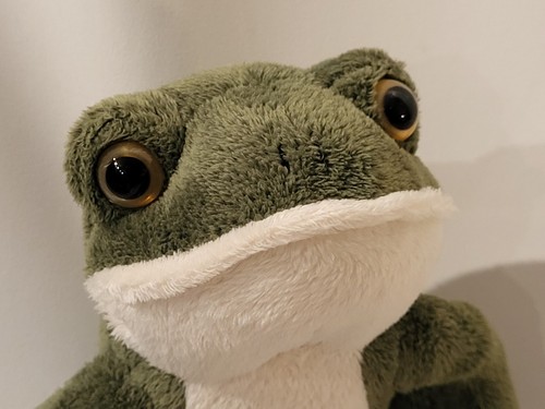 Frosch grün weiß 23 cm - frosch,