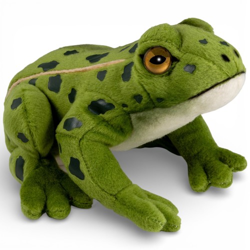 Carl dick frosch teichfrosch - carl, frosch,