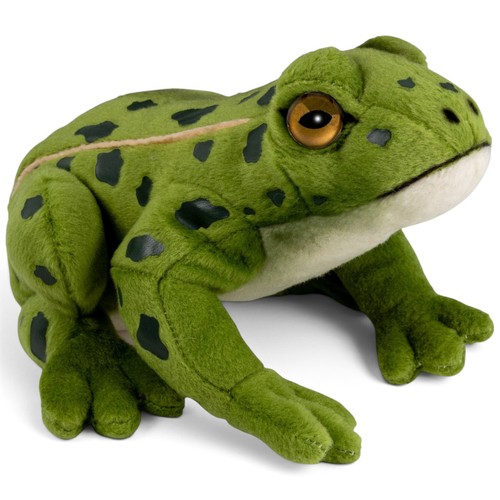 Carl dick frosch teichfrosch - dick, frosch,